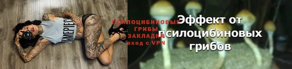 spice Алзамай