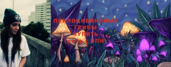 соль ск Алексеевка