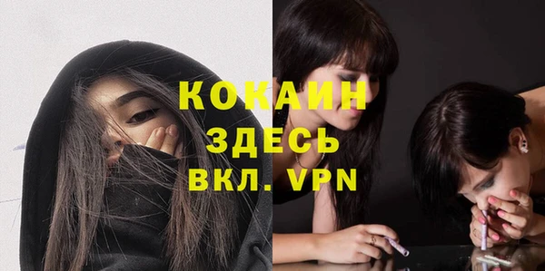 соль ск Алексеевка
