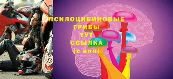 соль ск Алексеевка