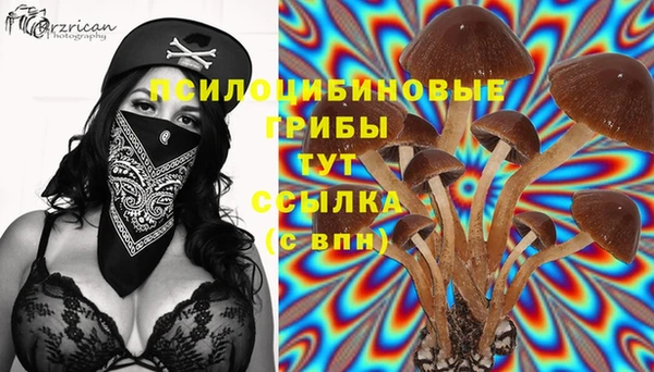 стаф Абдулино