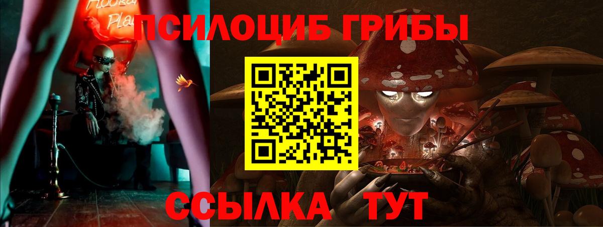 Галлюциногенные грибы Psilocybine cubensis Иваново